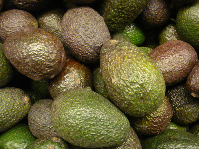 Illustration for article titled Por qué los aguacates no deberían existir (y cómo se salvaron gracias a un protagonista inesperado)